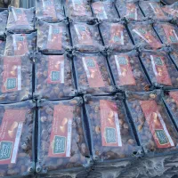 خرما رطبی خشت دستچین سبدی