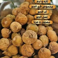 خشکبار انجیر|خوردنی و آشامیدنی|شیراز, طلاب|دیوار