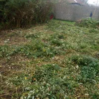 چمن علف زنی چاله کنی سمپاشی بریدن درخت با مجوز|خدمات باغبانی و درختکاری|صومعه‌سرا, |دیوار