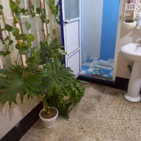 سوییت اجاره روزانه|اجارهٔ کوتاه‌مدت آپارتمان و سوئیت|دیلم, |دیوار