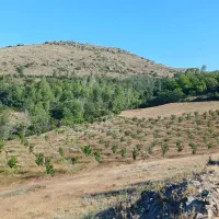 واحد۱۱۵ متر در سبلان فاز۲ سلمان فارسی ۱۰