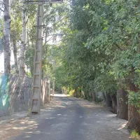 مغازه ۲۰ تا۴۰ متری داخل کوچه