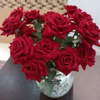 گل و گلدان ۹تاگل و ۷پروانه دیوار کوب