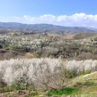 تور یک روزه. اخلمد