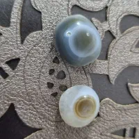 باباقوری قدیمی