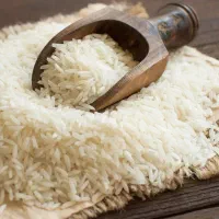 برنج طارم هاشمی/کشت یک و دو/نیم دانه