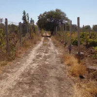 فرروش یک قطعه باغ سنددار|فروش زمین و ملک کلنگی|محمدشهر, همایون ویلا|دیوار