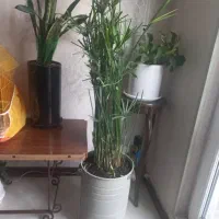 گلدان ایتالیایی همراه با گل‌های زیبا|گل مصنوعی|ملک‌آباد, |دیوار