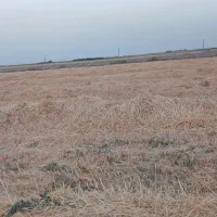 ۵ هکتار پخل تیغ و ریک زده آماده فروشی یا مشارکت|فروش زمین و ملک کلنگی|چناران, |دیوار