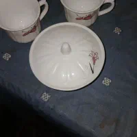 ظروف پذیرایی