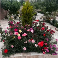 ۱۶۰متر زمین مسکونی ملکی بهترین منطقه بلوارشاهنامه