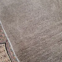 موکت پالاز رنگ موکا|موکت|مشهد, هفت تیر (نه دره)|دیوار