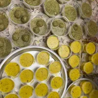 کوفته سبزی شیرازی ویارونه|خوردنی و آشامیدنی|شیراز, شهرک صادقیه|دیوار