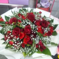 گل طبیعی و مصنوعی|گل و گیاه طبیعی|پاکدشت, پاکدشت (مامازند)|دیوار