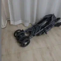 کالسکه عصایی