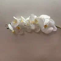 گل مصنوعی نو|گل مصنوعی|تهران, تهرانپارس جنوبی|دیوار