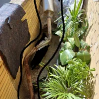 سنتر ۵۵ ef7و کتابی سورن توربو ef7