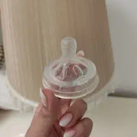 سرشیشه اونت