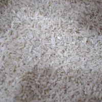 نیم دانه هاشمی