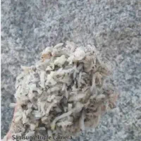 تفاله چغندر قند دامی|عمده‌فروشی|اشنویه, |دیوار