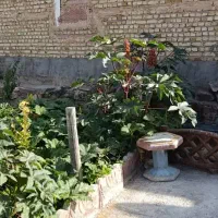 باغ ویلامعاوضه فروشی|فروش خانه و ویلا|رضویه, |دیوار