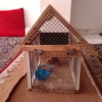 قفس چوبی محکم طرح کلبه