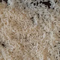 انواع برنج و نیم دانه به صورت کلی و جزیی|خوردنی و آشامیدنی|ساری, |دیوار