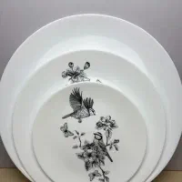 حراج  عمده سرویسهای ارکروپال