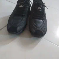 کفش لامبورگینی|کیف، کفش، کمربند|شاهینشهر, شهرک گلدیس|دیوار