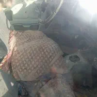 زنگ نزنی پیام بدی|خودرو سواری و وانت|خاش, |دیوار