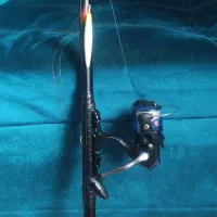 کاسی وکاسی لنس