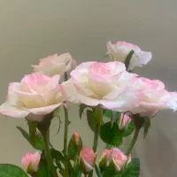 گل های انعطافی|گل مصنوعی|تهران, قنات‌کوثر|دیوار