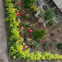 خدمات باغبانی کاشت گل باغچه کاری تعویض خاک گلدون