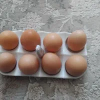 تخم مرغ نارنجی فروشی