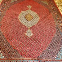 فروش دو تخته فرش ۱۲ متری|فرش|ساری, |دیوار