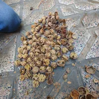 عمده گردو بادام خریدکشمش سبزه و....