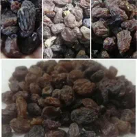 بورس مویز و کشمش آفتابی شیراز، تاکستان و ملایر