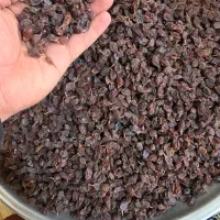 کشمش عسکری بش زرقان