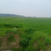 زمین-کشاورزی