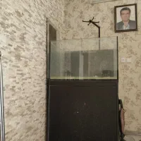 آکواریوم آب شور|ماهی|تهران, افسریه شمالی|دیوار