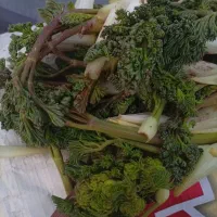 فروش جاشیر خوراکی
