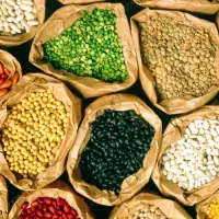 استخدام نیرو بسته بندی حبوبات درمنزل