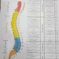 صندلی ماساژور دکتر جید با لوازم کامل جانبی|تجهیزات ورزشی|شیراز, پودنک|دیوار