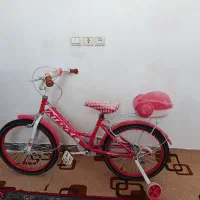 فرش گاز دوچرخه|فرش|سیوان, |دیوار