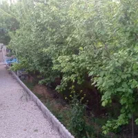 خونه ویلایی بلوار توس325 متر|فروش خانه و ویلا|مشهد, امین آباد|دیوار