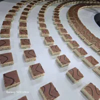 فنی کار
