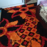 تعدادی فرش درحدنو|فرش|اردبیل, |دیوار