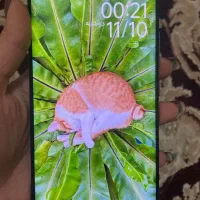 گوشی ردمی نت۱۴پرو|موبایل|بم, |دیوار