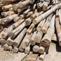 خرید و فروش چوب با بهترین قیمت|عمدهفروشی|شیراز, کیان آباد|دیوار