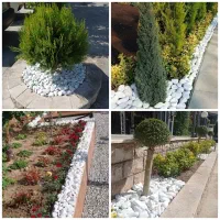 باغبانی آبیاری قطره ای کاشت هرس سم پاشی دفع آفات